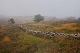 Click to view Block Island Land Gallery Images